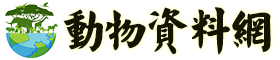 网站logo